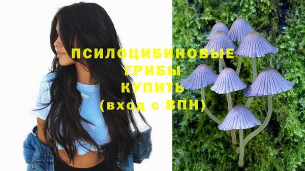 прущие грибы Киреевск