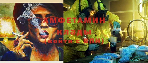 прущие грибы Кинешма
