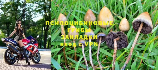 прущие грибы Кинешма
