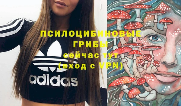 прущие грибы Киреевск