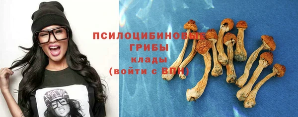 прущие грибы Киреевск